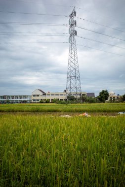 Yogyakarta, Endonezya 'daki çeltik tarlalarının üzerinde yüksek voltajlı bir güç iletim kulesi..