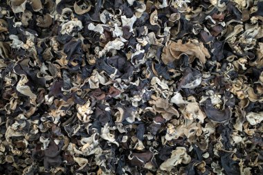 Süpermarkette kurumuş ahşap bir mantar yığını (Auricularia auricular).