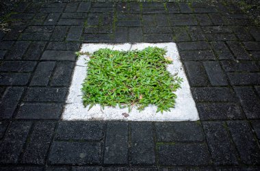 Kaldırımlı ve kare şeklinde yeşil çimenli soyut arkaplan.