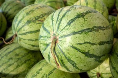 Süpermarketteki raflarda taze karpuzlar (Citrullus lanatus).