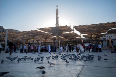 Medine, Suudi Arabistan - 3 Temmuz 2024: Suudi Arabistan 'da Mescidi Nabawi olarak da bilinen Hz. Muhammed Camii yakınlarındaki hacı ve güvercinler.