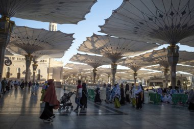 Medine, Suudi Arabistan - 30 Haziran 2024: Hac ve Umrah, Medine 'deki Hz. Muhammed Camii' ndeki dev otomatik şemsiyeler altında, diğer adıyla Mescid Nabawi, Suudi Arabistan.