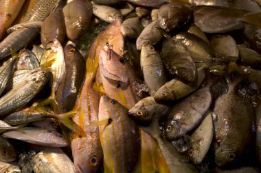 Geleneksel pazarda buzdaki taze balık, Batam City, Endonezya 'daki Pasar Penuin Islak Pazarı.