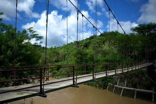 Gunung Kidul, Yogyakarta, Endonezya 'daki ormanda dar bir köprü..