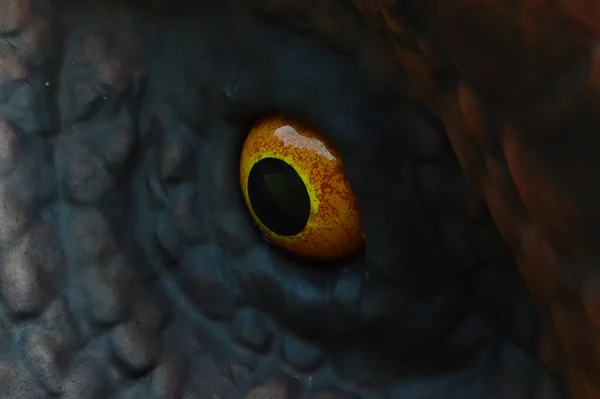 Closeup view of yellow eye of the dinosaurs are staring with horrible. Scary eye.
