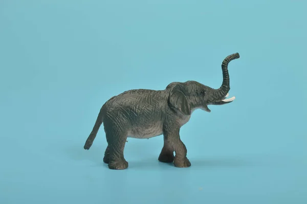 Black toy elephant isolated on a blue background
