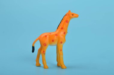 yellow toy Giraffe isolated on a blue background
