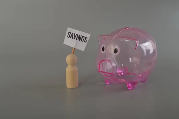 Piggy Banco Figura Madeira Com Orçamento Texto Poupança Orçamento Investimento — Fotografia de Stock