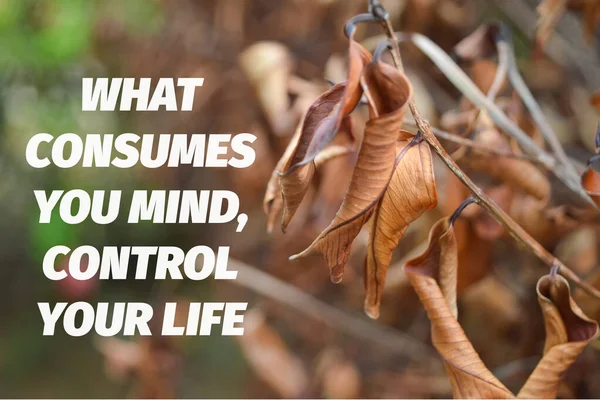 Motivationszitat Geschrieben Mit Verbraucht Ihren Mind Kontrolle Ihres Leben — Stockfoto
