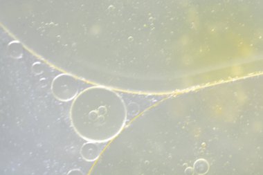 Yağ damlacıklarının su yüzeyindeki gürültü ve bulanık etkisi soyut bir arkaplan oluşturur..