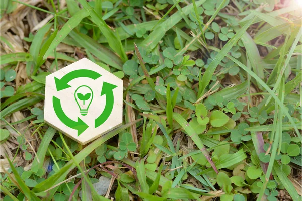 Recycle Symbol: Many people engage in activities, enjoying a good atmosphere while saving the planet and energy.