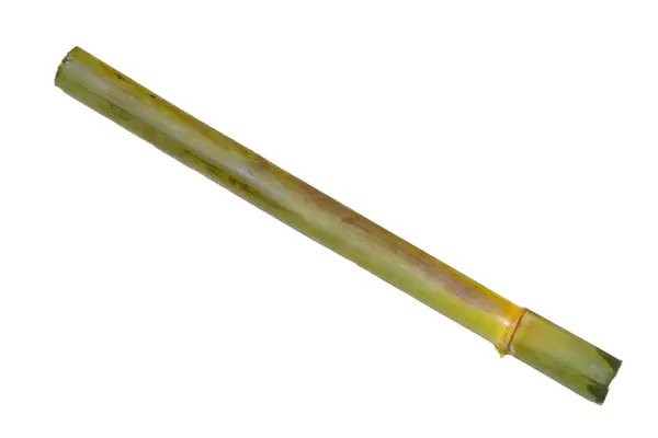 Green Bamboo Isolated White Background — Stock Photo, Image