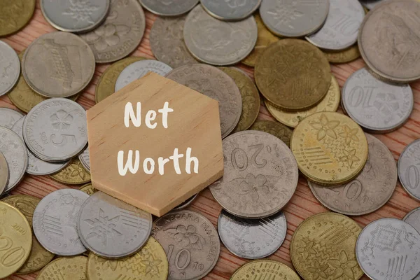 The text NET WORTH is the measure of an individual\'s or entity\'s financial health and represents the difference between their total assets and total liabilities