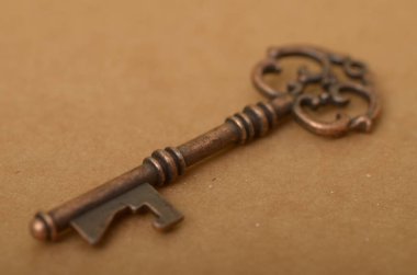 Anahtar, bilgi, deneyim ya da fırsatlar gibi değerli ya da gizli bir şeye ulaşma gücünü temsil ediyor olabilir..