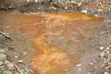 Turuncu su kirliliğin veya çevresel hasarın bir işareti olabilir..