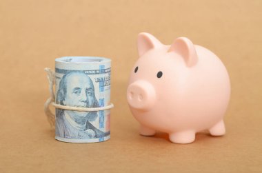 Akıllı Tasarruf: Mavi Domuz Bankası ve Mali Planlama Doları