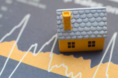 Hisse senedi Piyasasındaki Minyatür Ev ile Özellik Fiyat Dalgalanması Sunumu