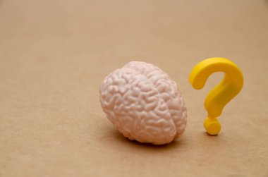 Tedbirli Minyatür Anatomi Modelleri Sağlıklı Risk Önleme Kavramı.