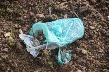 A crumpled blue plastic bottle lies discarded on dark soil, contrasting sharply with new green shoots and symbolizing the pervasive impact of human pollution on the environment.