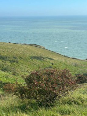 Dover 'ın Beyaz Kayalıkları