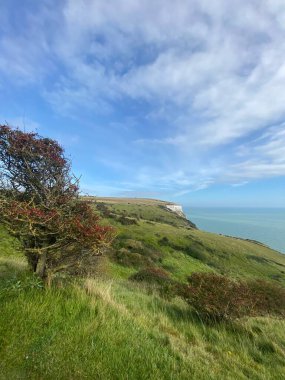 Dover 'ın Beyaz Kayalıkları