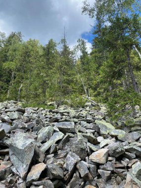 Yazın Karpat Dağları