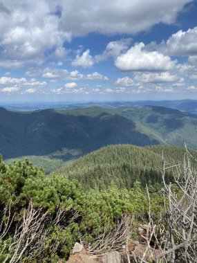 Yazın Karpat Dağları