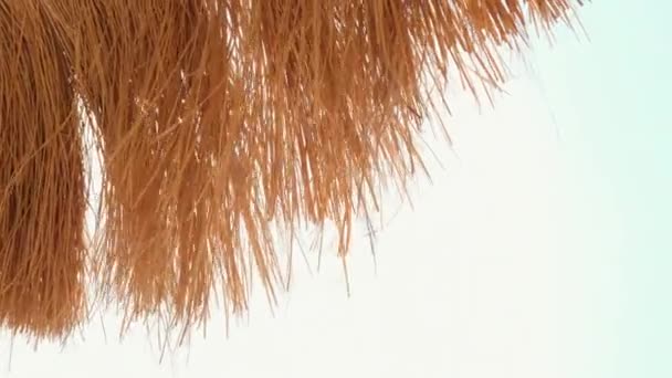 海滩上的草伞在蓝天的映衬下映入眼帘 高质量的4K镜头 — 图库视频影像