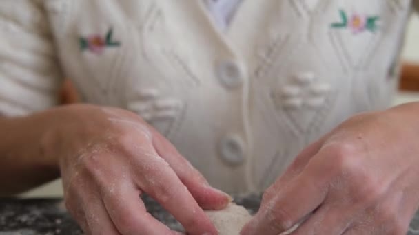 Making Vegetarian Dumplings Vegetables Hands Make Dumpling Woman Prepares Handmade — Video Stock