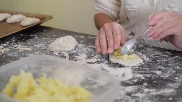 Making Vegetarian Dumplings Vegetables Hands Make Dumpling Woman Prepares Handmade — Stock video
