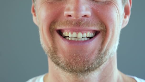 Lower Part Face Bearded Laughing Man White Toothed Smile Handsome — Wideo stockowe
