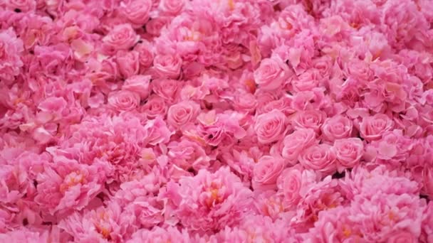 Floral Υφή Φόντου Για Την Τελετή Φωτογράφηση Τεχνητά Λουλούδια Παστέλ — Αρχείο Βίντεο