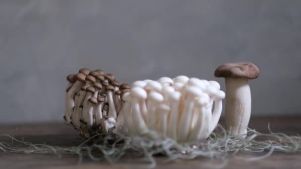 各种可食用的亚洲蘑菇 伊诺基 什米基 皇家牡蛎蘑菇 一组蔬菜 暗相片自然光 有选择的重点 — 图库视频影像