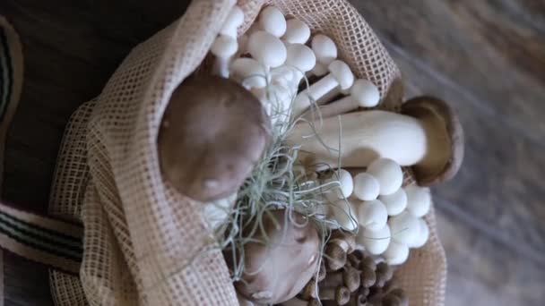 各种可食用的亚洲蘑菇 伊诺基 什米基 皇家牡蛎蘑菇在生态袋里 一组蔬菜 暗相片自然光 有选择的重点 — 图库视频影像