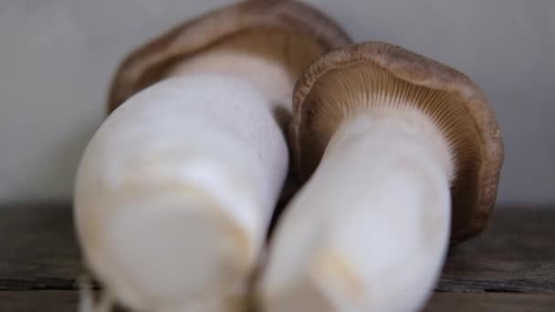 Edible Asian Mushrooms Royal Oyster Mushrooms Dark Photo Natural Light — ストック動画
