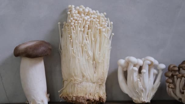 各种可食用的亚洲蘑菇 伊诺基 什米基 皇家牡蛎蘑菇 一组蔬菜 暗相片自然光 — 图库视频影像
