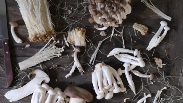 各种可食用的亚洲蘑菇 伊诺基 什米基 皇家牡蛎蘑菇 一组蔬菜 暗相片自然光 平淡的 有选择的重点 — 图库视频影像