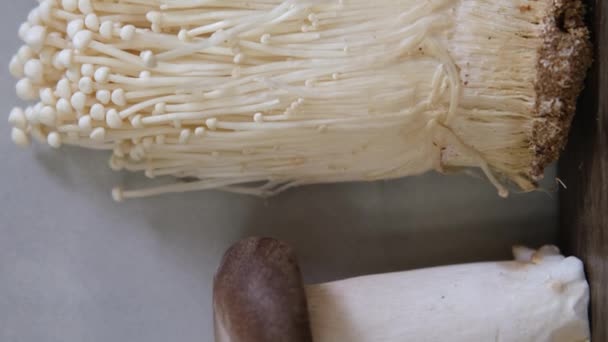 各种可食用的亚洲蘑菇 伊诺基 什米基 皇家牡蛎蘑菇 一组蔬菜 暗相片自然光 — 图库视频影像