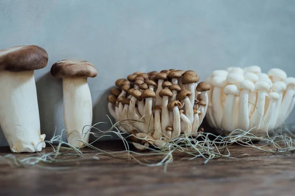 Various edible Asian mushrooms. Enoki, shimeji, shiitake, tea tree, royal oyster mushrooms. Set of vegetables. Dark photo natural light. Selective focus.