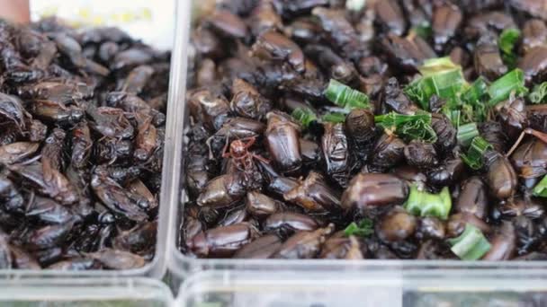 油炸昆虫 街头市场上流行的异国情调熟食 当地亚洲市场上的蟋蟀 水虫和其他各种昆虫街头食物 — 图库视频影像