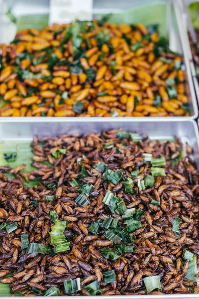 Fried food insects. Exotic cooked snacks popular on street market. Fried crickets, silkworms, grasshoppers, water bugs and other various insects street food in a local asian market.