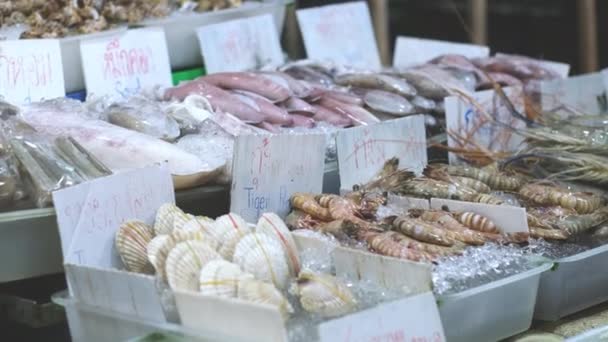Close Alive Seafood Special Water Containers Fish Market Sale Footage — Αρχείο Βίντεο