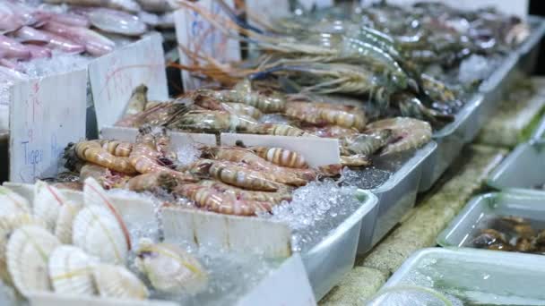 Close Makanan Laut Hidup Dalam Wadah Air Khusus Pasar Ikan — Stok Video