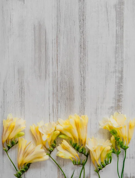 Top view on beautiful rustic floral spring background with cozy yellow freesias flowers and copy space, flatly.