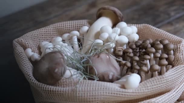 Various Edible Asian Mushrooms Enoki Shimeji Shiitake Tea Tree Royal — Stockvideo