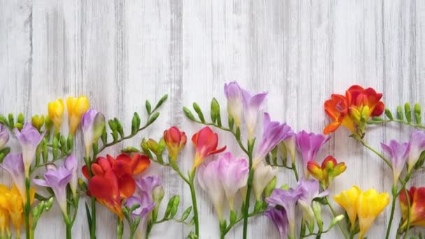 Top View Smukke Rustikke Blomster Foråret Baggrund Med Farverige Freesia – Stock-video
