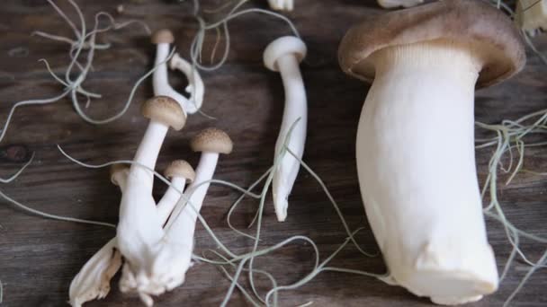各种可食用的亚洲蘑菇 一组蔬菜 暗相片自然光 — 图库视频影像