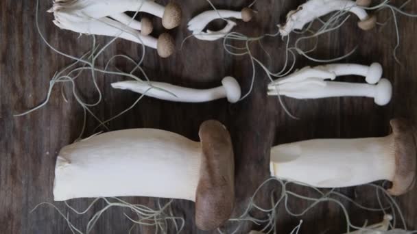 各种可食用的亚洲蘑菇 一组蔬菜 暗相片自然光 垂直镜头 — 图库视频影像
