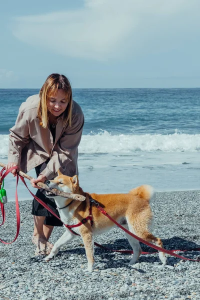 Mulher Seu Cão Shiba Amigo Canino Ter Grande Momento Andando — Fotografia de Stock