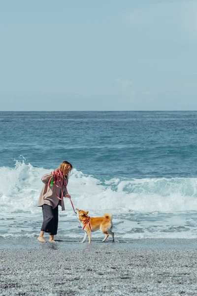 Woman and her four-legged friend having wonderful time walking along beach. Girl and her furry companion shiba dog filling with happiness on nature.